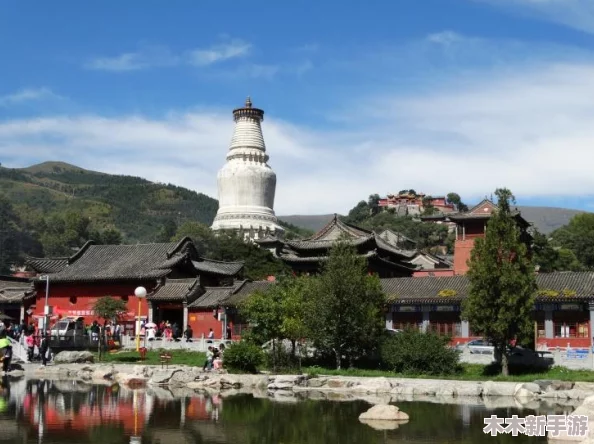探索城市天际线的壮丽与胶片复古韵味：两者独特魅力何者更动人心弦？