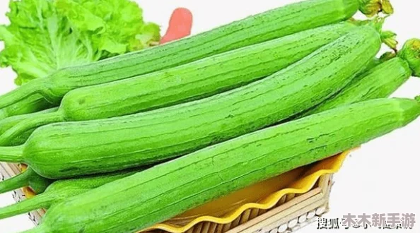草莓丝瓜视频：让你领略美味与健康并存的绝佳选择，轻松享受每一刻的愉悦体验！