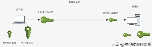 深入理解插插软件的功能与应用：全面解析其背后的技术原理