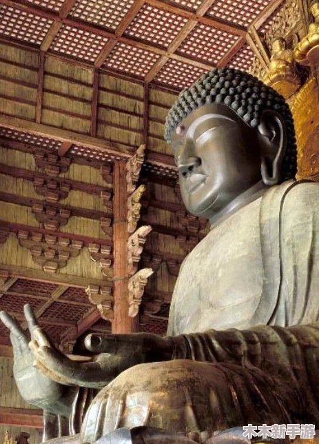 阿阿阿好铜铜铜：深入理解其背后的文化与价值观念