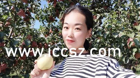 理解国产精品秘果冻传媒麻豆的独特魅力与市场影响力分析