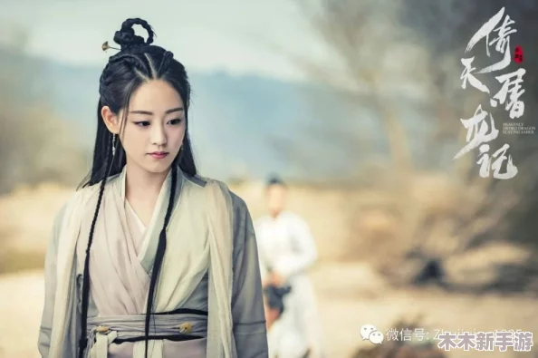 白洁赵敏张倩之间的情感纠葛与复杂关系深度解析