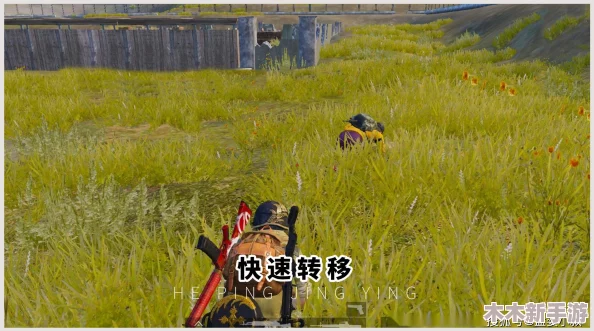 《和平精英》实战技巧：详细步骤教你如何正确且高效踢出队友，附清晰图解教程