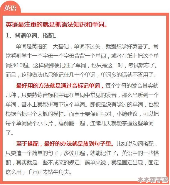鱿鱼b2577直接进入办院方针，事半功倍的策略引发热议