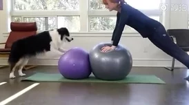 一字马的时候唇瓣是打开的吗？探寻这个动作背后的奥秘