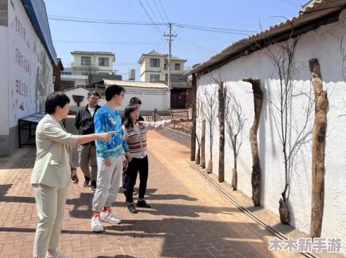 c-起草红桃国际战略内部文件的挑战与机遇