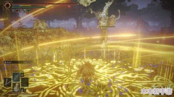 探索艾尔登法环：死亡仪式鸟象征的神秘神祇揭秘