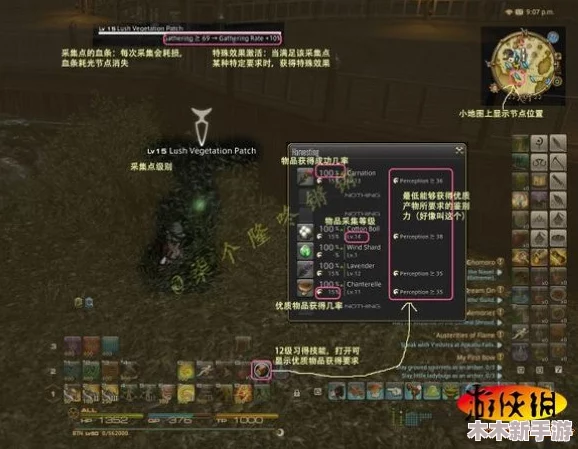 探索幻想世界：揭秘全黄金虫藏身之处与高效收集策略指南