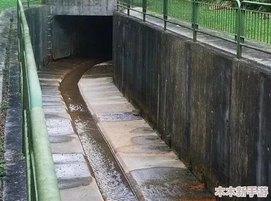 pilpil污染版入口在哪里？网友热议：体验如何，值得期待吗？
