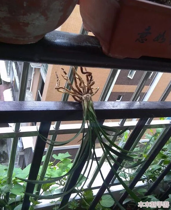 积积桶积积免费软件网站，功夫不负有心人