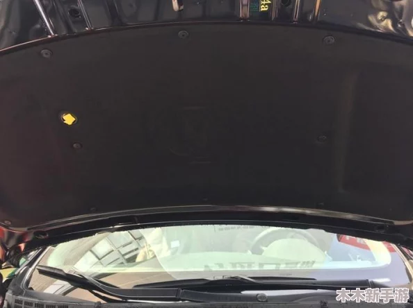 积积桶积积免费软件网站，功夫不负有心人