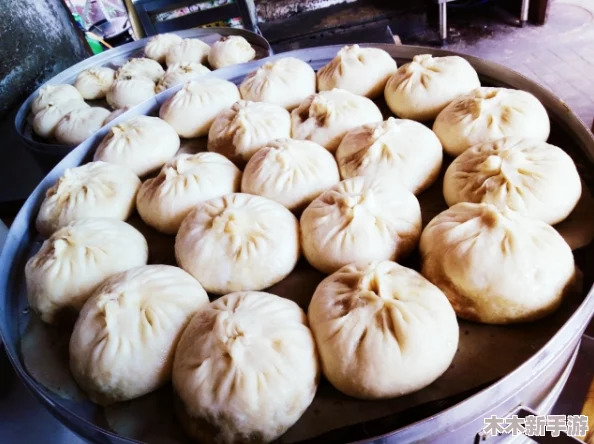welcome仙踪林limited包子铺：探寻独特美味，品尝不一样的风味体验