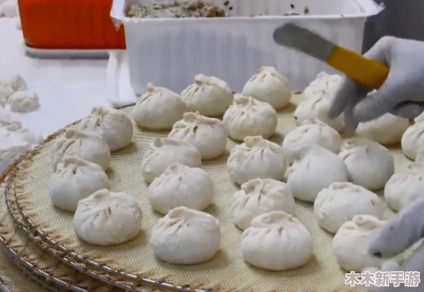 welcome仙踪林limited包子铺：探寻独特美味，品尝不一样的风味体验
