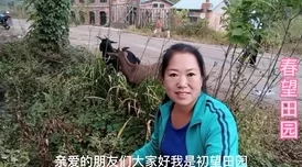 燕姐找放羊老人户外视频，网友赞叹其真实感人，传递温暖与乡村美好生活