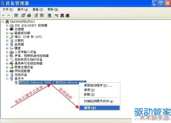 鲁大师免费观看在线的注意事项：理解使用过程中的关键细节与注意事项