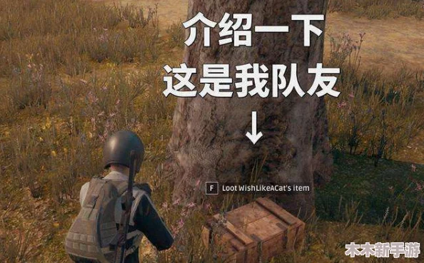 暴躁少女零九csgo：玩家热评称其操作灵活，战术意识超群，令人惊叹的游戏表现！