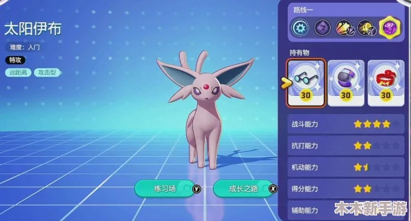宝可梦大集结：太阳伊布核心持有物精选指南与搭配策略推荐