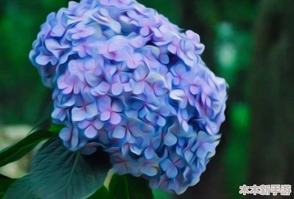 紫阳花の散る顷に雷火剑与花海的浪漫交织，感受夏日的奇妙与炎热