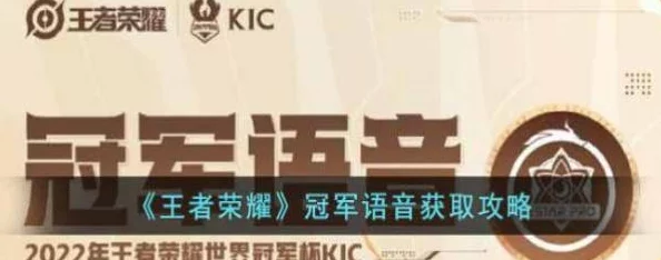 王者荣耀独家揭秘：冠军荣耀语音获取全攻略，轻松解锁专属战斗激情！