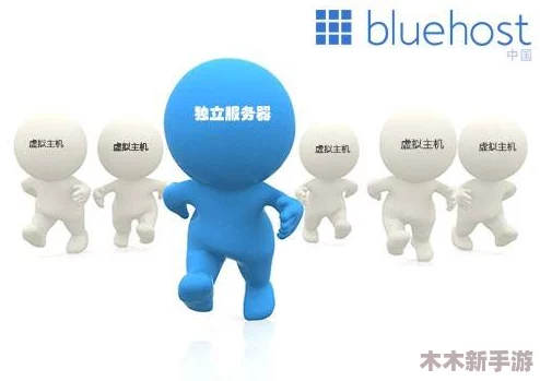 理解美国和欧洲windowsvps的区别及其对用户选择的影响