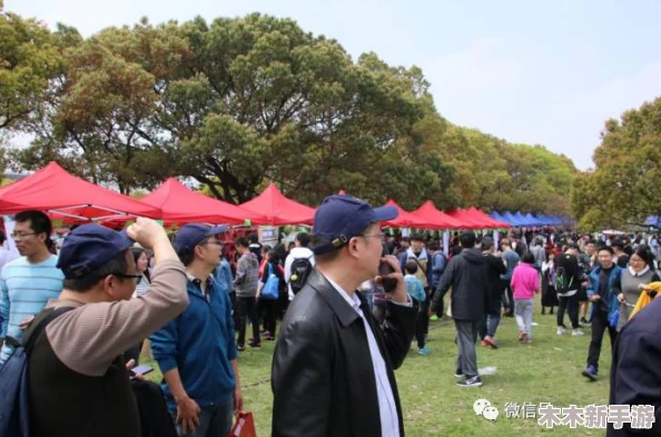 荷兰姓交大大赛最新赛事：展现青春活力，激发无限潜能，共同书写精彩篇章！
