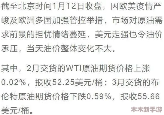 天美传媒孟若羽言传不如身教：2024年数字内容创作新趋势下的实践与启示