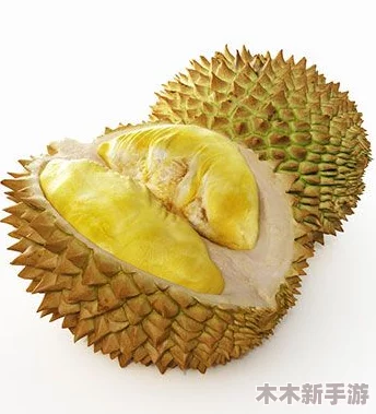 榴莲app官方下载ios版最新版，让你尽享香甜滋味与无限乐趣！