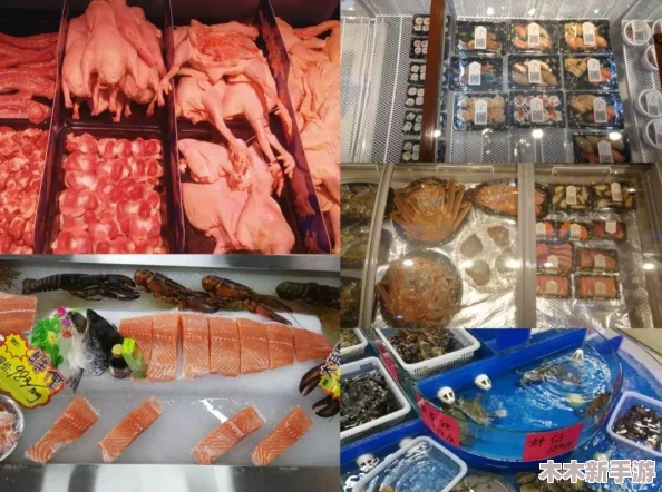 当我解锁肉禽系统：深入了解这一新兴领域对食品安全与可持续发展的影响与挑战