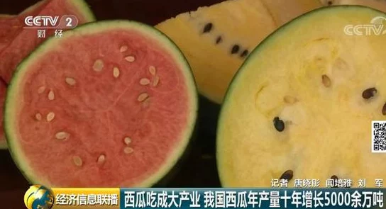 黑料社区西瓜.tv：新一轮网络直播监管政策即将实施，行业面临重大变革与挑战