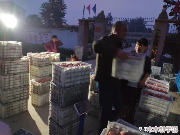 红桃38.47：全球水果市场迎来新一轮价格波动，消费者关注健康与品质的选择趋势