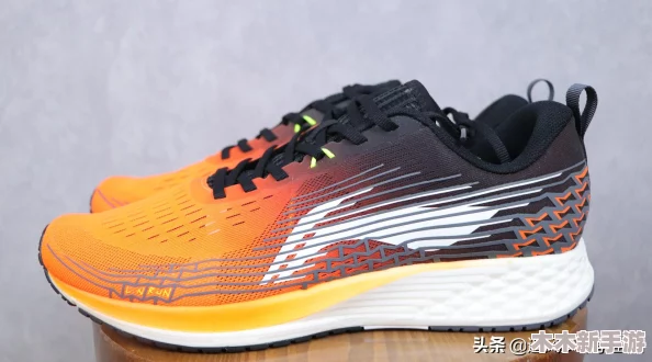 深入解析日本Zoom与国产Zoom对比的关键因素与背后原因