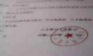 马和人是怎么玩的：最新研究显示，人与马之间的互动能显著提升双方的情感联系与信任度