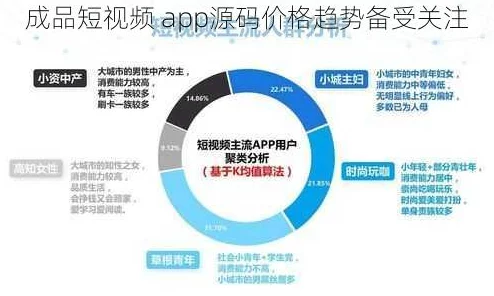 深入了解成品短视频app源码和激活码的获取与应用