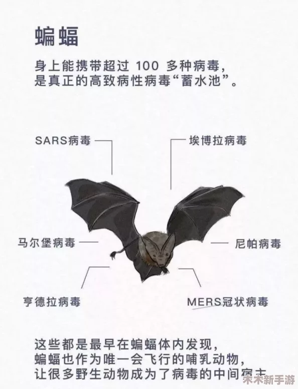疫情母与子且听风吟鹿子言四：爱的感悟与生活的启示，母爱的伟大与子女的成长之路