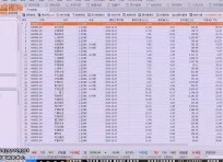 深入解析欧美ZoZ0人与物物动现象及其背后文化影响与社会意义
