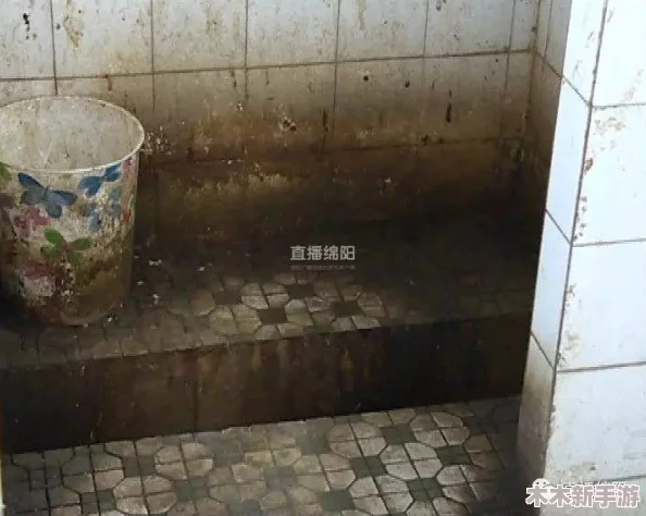 沟厕：臭气熏天，污秽不堪，令人避之唯恐不及