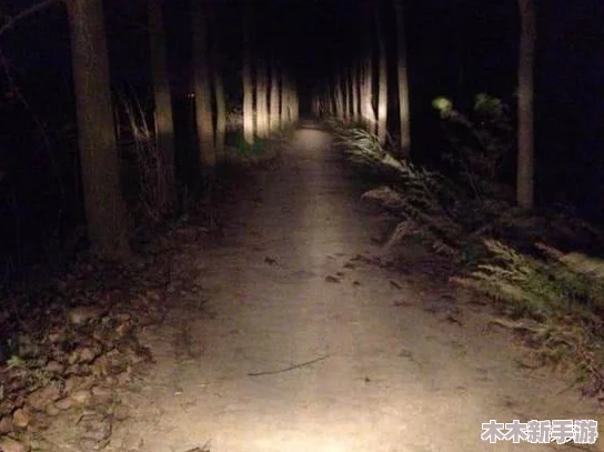 海角社区深夜秘：网友热议“这个地方真是太神秘了，晚上总有奇怪的声音，让人毛骨悚然！”