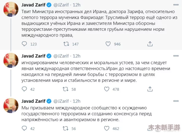 缅甸恐怖网站lomando被国际社会谴责，呼吁加强网络安全与打击极端主义行为的合作