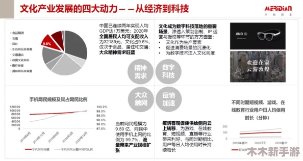 理解ww4hu55.cmo的深层含义与影响，揭示其在网络文化中的重要性和作用