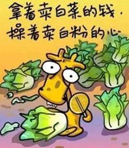 臭小子姨妈腰快断了第12集：展现坚持与勇气，感动人心的成长故事！