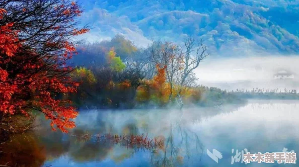 苏州粉色晶体sio：绽放着温暖的光芒，如同一抹柔美的风景画