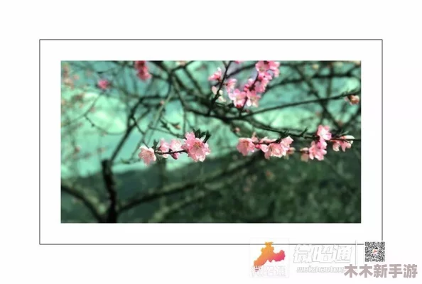 需要妈妈播种：科学家发现母亲的情感支持对孩子成长至关重要，影响其未来发展和心理健康