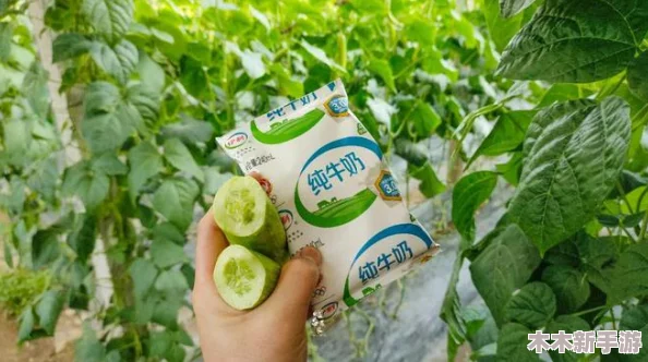 甘雨用黄瓜自己出牛奶可以吗？这种创新的尝试充满了无限可能性