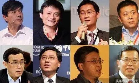 理解撒尿WBWBWB毛的现象及其对动物行为的影响与意义分析