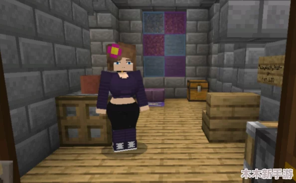 理解minecraft珍妮动画网站的魅力与创作背后的故事，带你深入了解这个热门平台