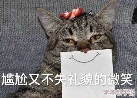 柚子猫雷电将军致命错误，失之毫厘谬以千里，令人深思的教训