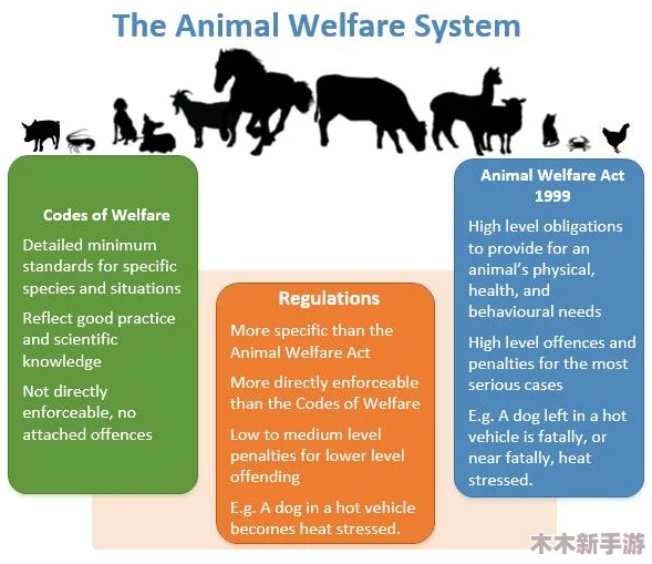 美国人和畜禽共性关系的重要性与价值：促进生态平衡与人类福祉的深刻影响分析