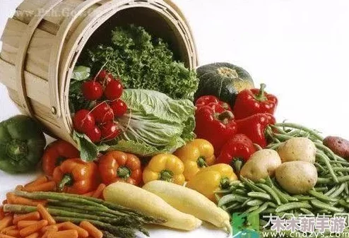 女方用嘴巴吃鸡后多久恢复图，2024年热门饮食趋势与健康指南一览