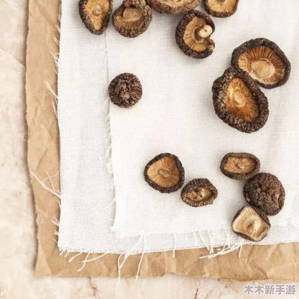 改造催乳装置瓶子：创新设计与实用性提升的全面解析