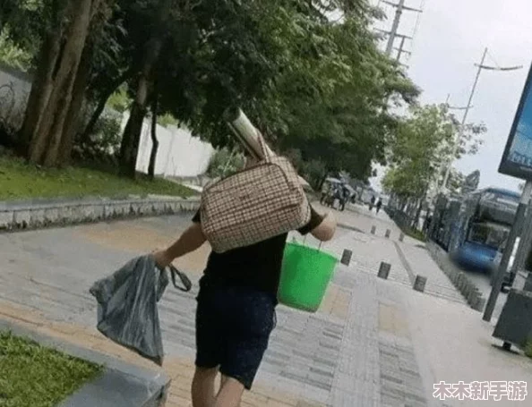 理解真实的农村bbwbbwbbw现象，探讨其背后的社会文化与生活方式